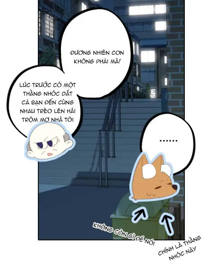 Con Tim Rung Động 3 Nettruyen ZZZ Chương 27 Page 25