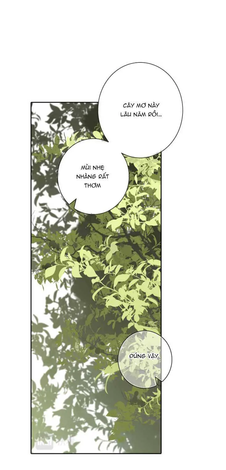 Con Tim Rung Động 3 Nettruyen ZZZ Chương 27 Page 26