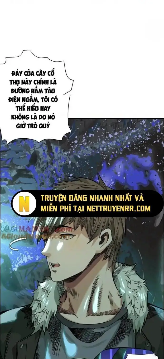 Thập nhị tinh Nettruyen ZZZ Chương 73 Page 12