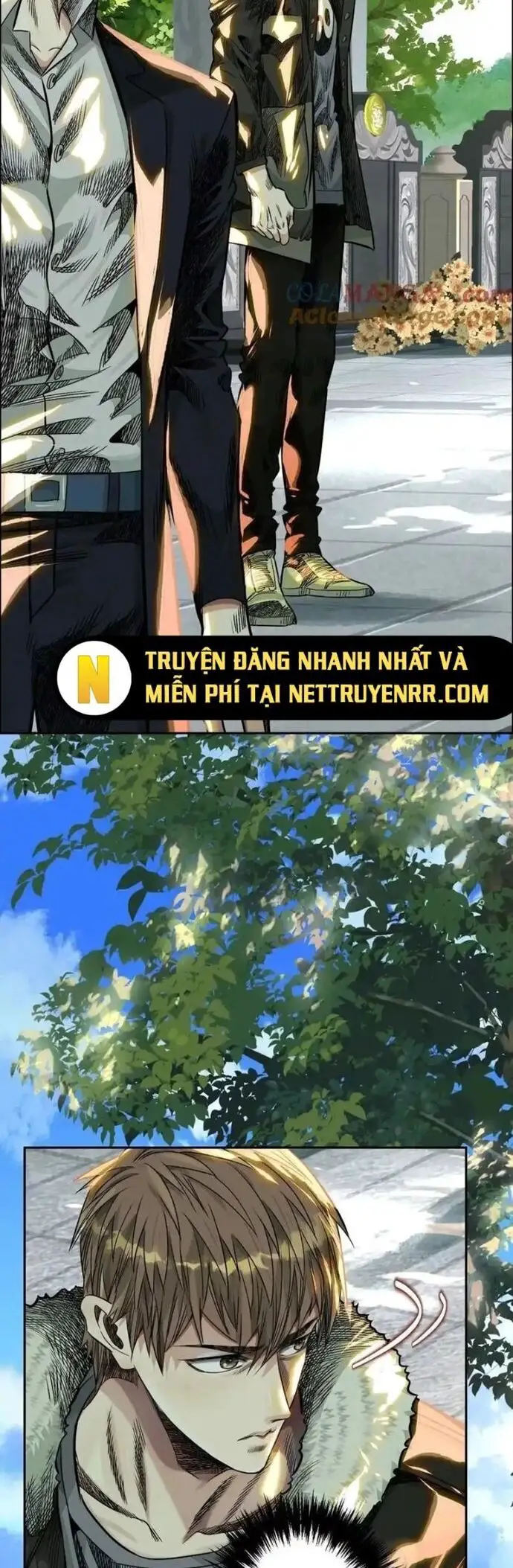Thập nhị tinh Nettruyen ZZZ Chương 66 Page 3