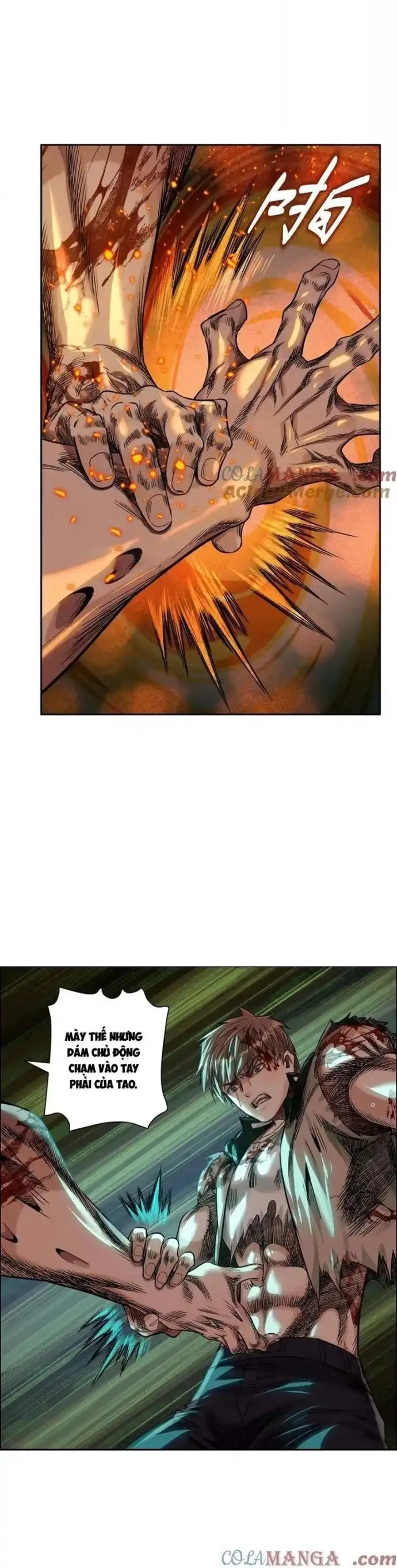 Thập nhị tinh Nettruyen ZZZ Chương 61 Page 6